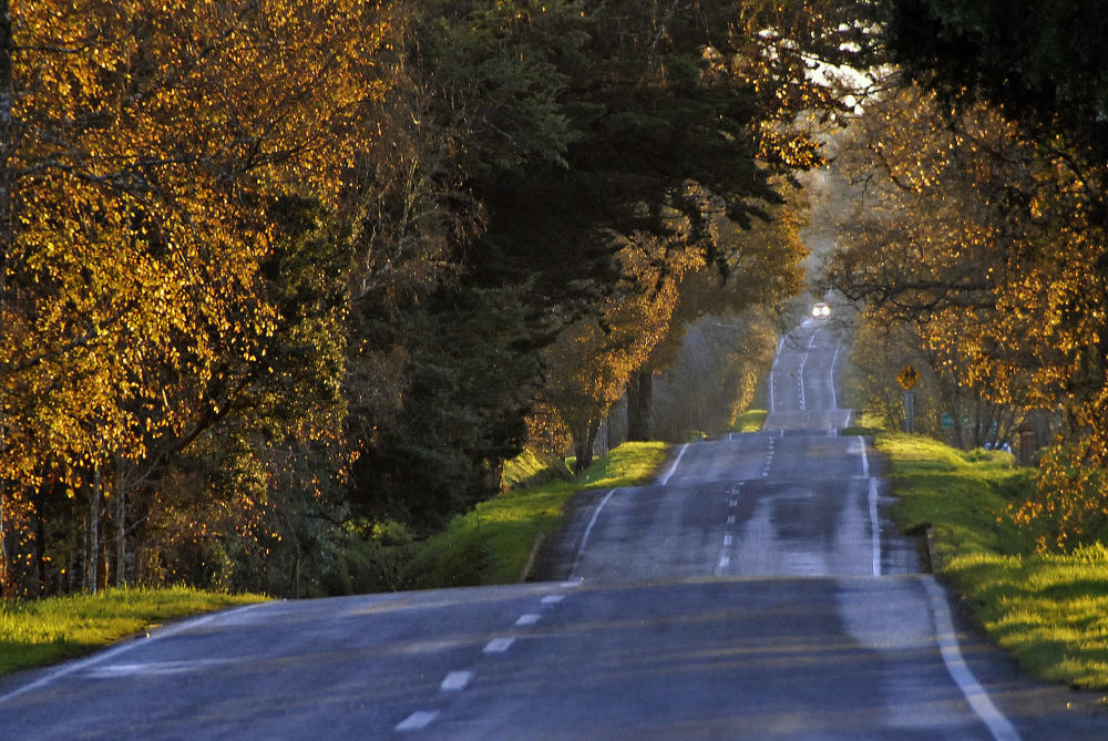 You are currently viewing How Do Towing Companies Keep Your Car Safe During Long Distance Towing?